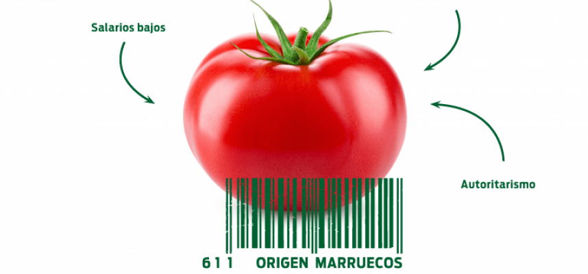ORIGEN-MARRUECOS-ANUNCIOS-PRODUCTOS-WEB9-768x593