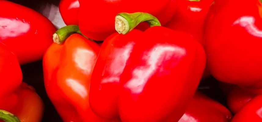 pimientos