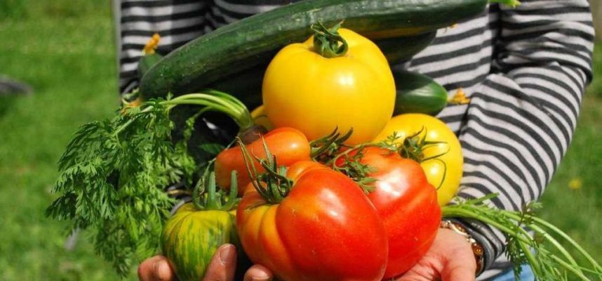 consumo-vegetales-1020x600