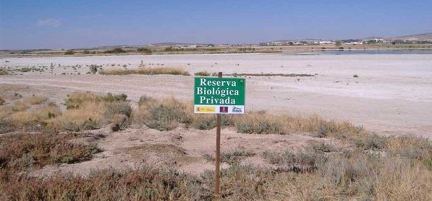 custodia-territorio-ok-1023x600