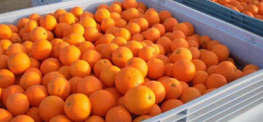 naranjas