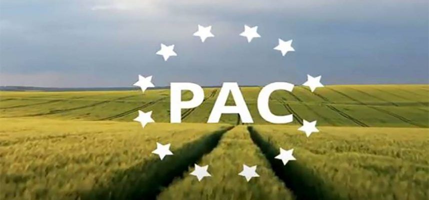 pac