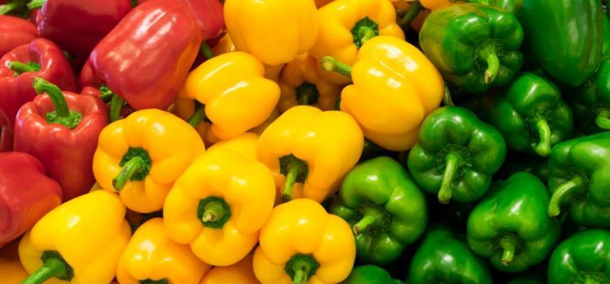 pimientos