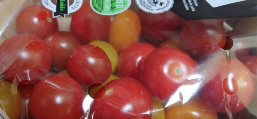 plastico