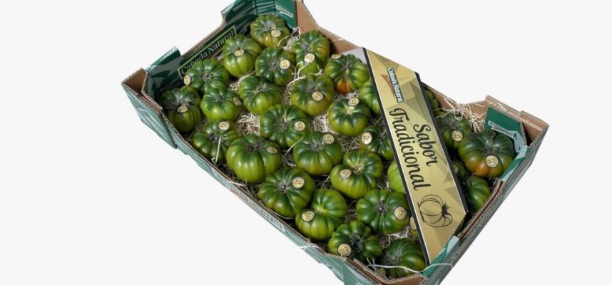 tomate Raf