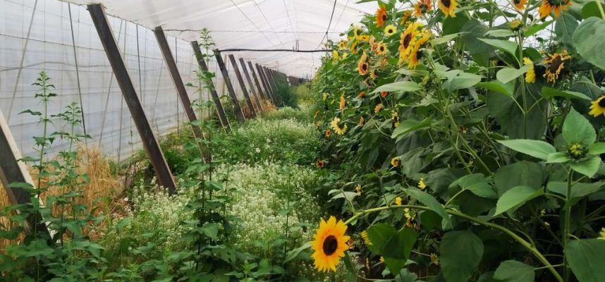 BIODIVERSIDAD-INTERIOR-1