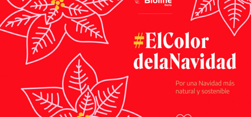 ElColordelaNavidad