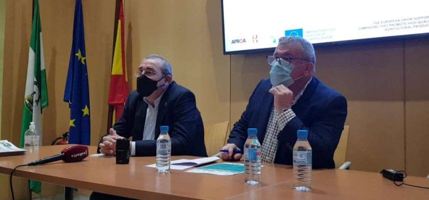 RUEDA DE PRENSA INVERSOLAR ok