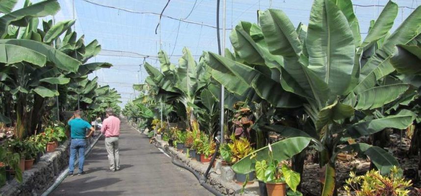agrocolor-en-La-Palma-home-1020x600