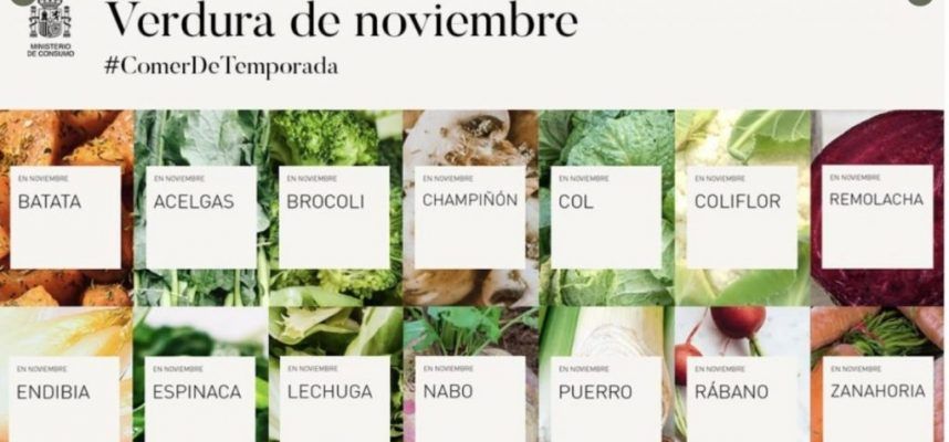 campaña ministerio consumo