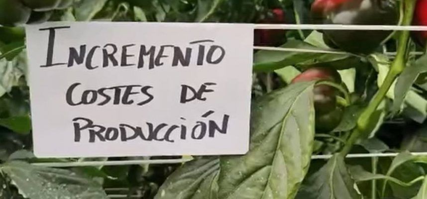costes-de-produccion-ok