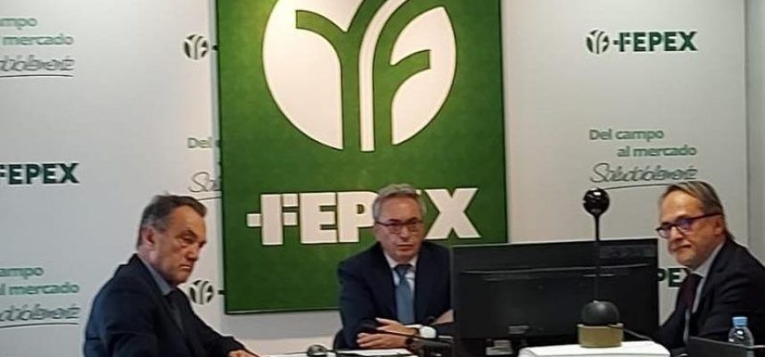 fepex-asan-799x600