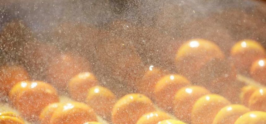 intercitrus-1020x600