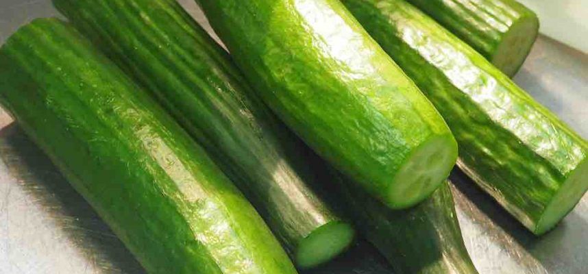 pepino-pepinos