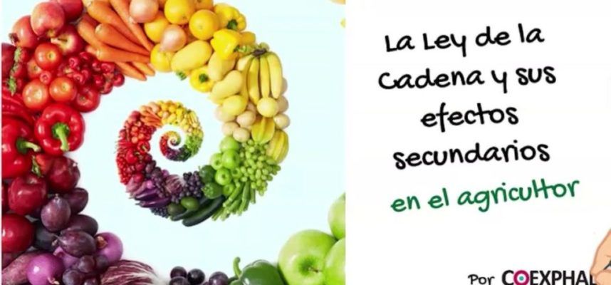 6-y-7-Ley-de-la-cadena-1170x600
