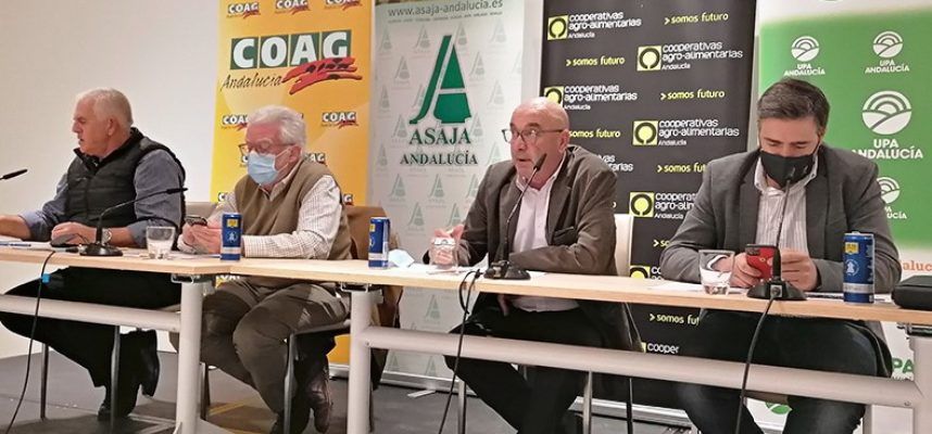 RP_Agro_GR