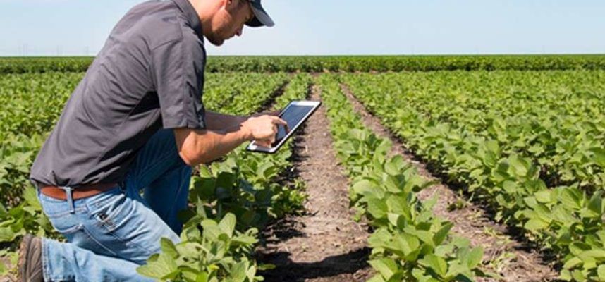 agricultor-tablet