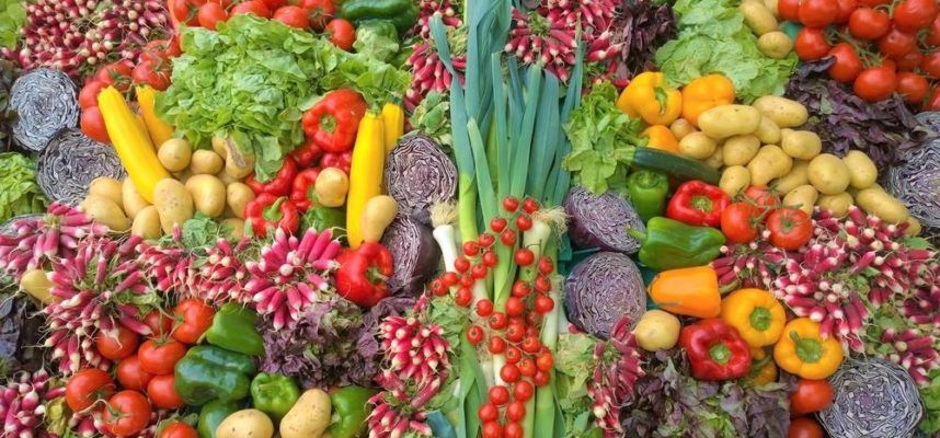 frutas-y-hortalizas-export-ok