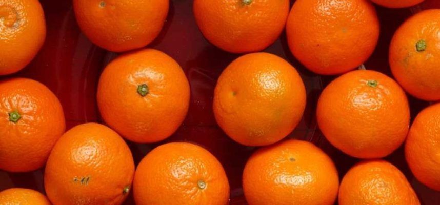 naranjas-Turquia-1020x600