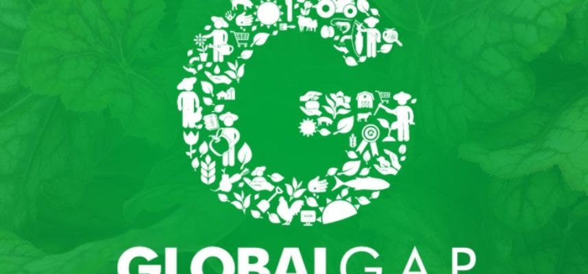 Global-GAP-verde