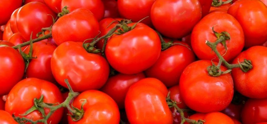 color-fresh-healthy-533280
