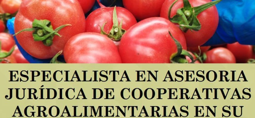 especialista-asesoria