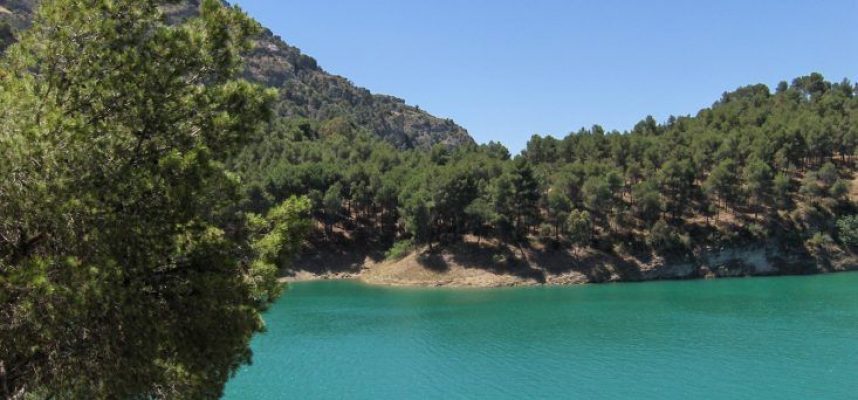 Embalse-733x550-1