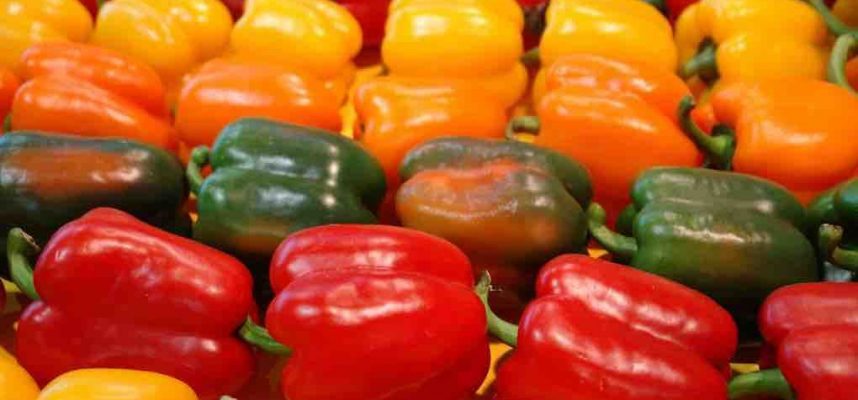 pimientos-marzo-1020x600