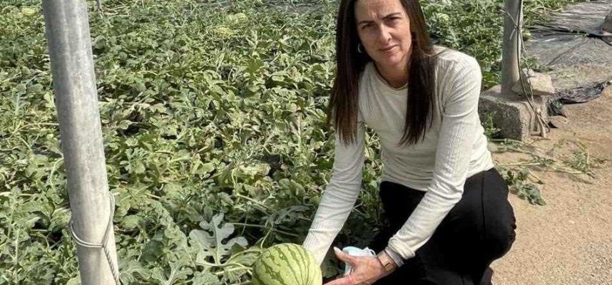 Campana-No-Cortes-en-Verde-1