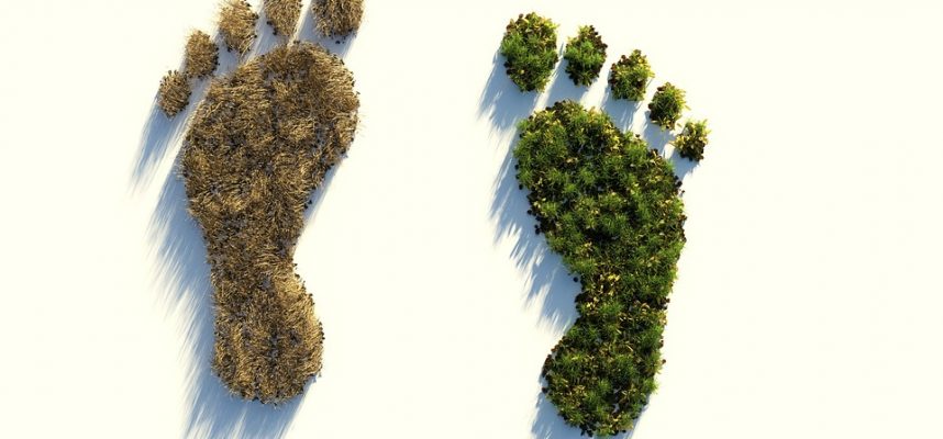 huella ambiental