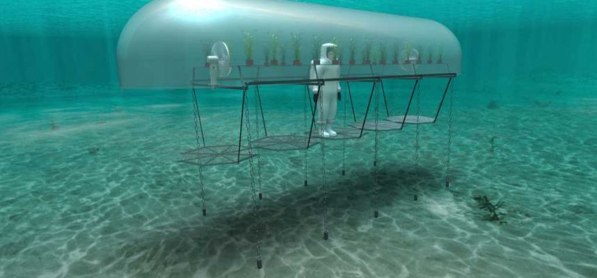 invernadero-submarino-ok