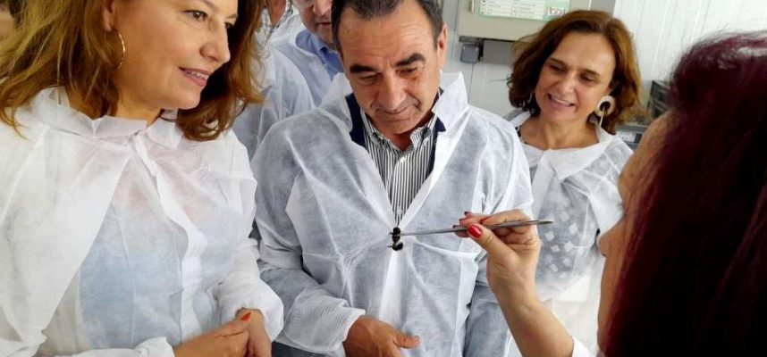 Almería supera las 26.000 hectáreas de cultivos que combaten las plagas con control biológico