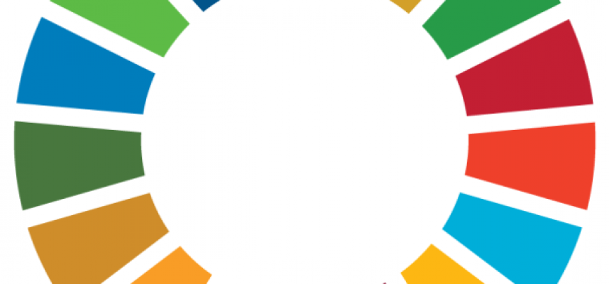 SDG-Wheel_WEB-600x600