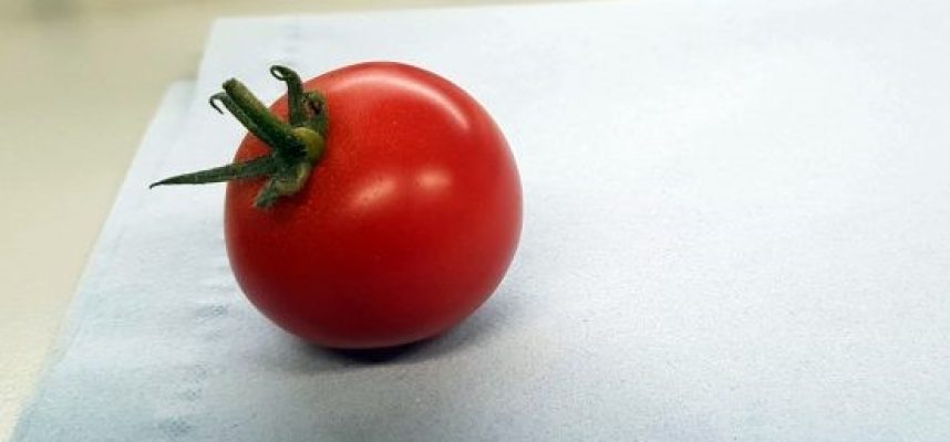 tomate-editado