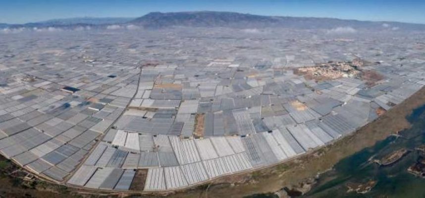Panoramica-invernaderos-900x298