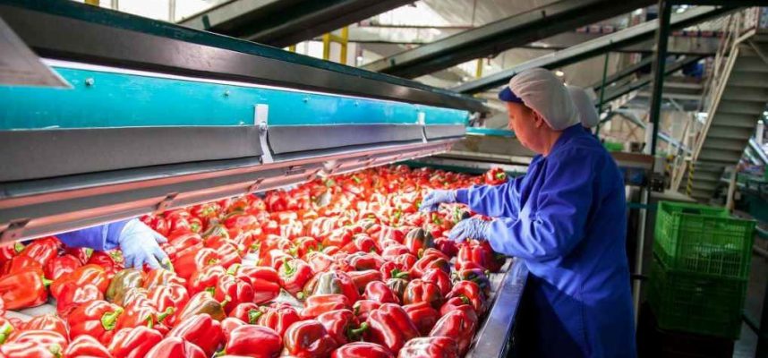 exportacion-agroalimentaria-1020x600