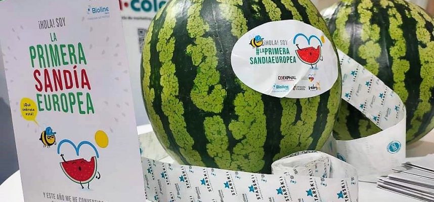 laprimera-sandia-1019x600