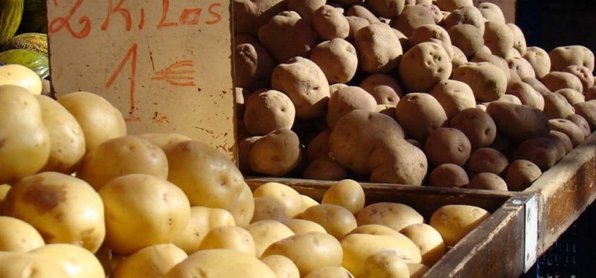 patatas-importacion-1020x600