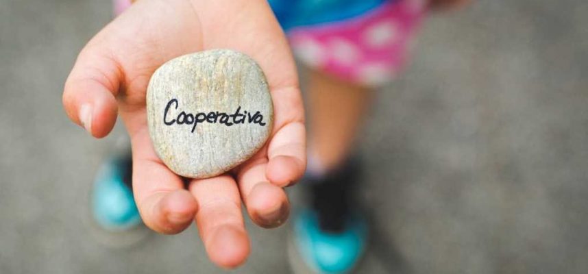 cooperativa-ok-1020x600