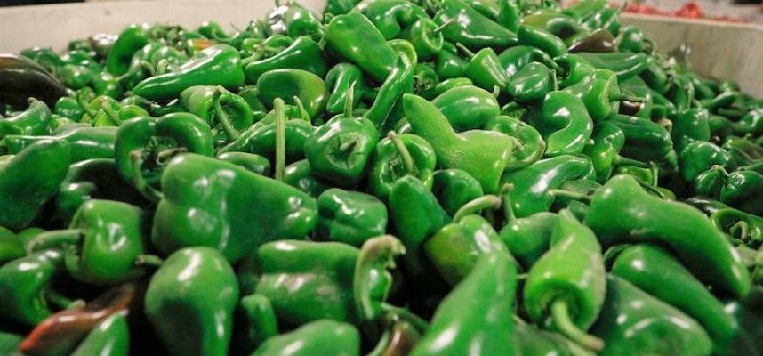 pimientos-3