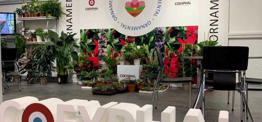 Iberflora_Coexphal-1020x600