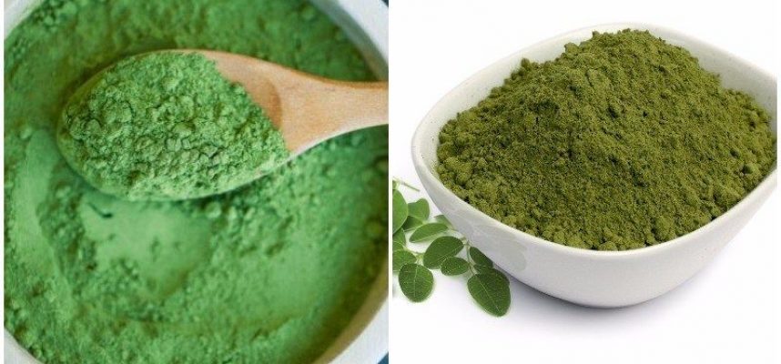 Moringa_en_polvo