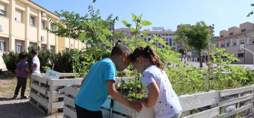 Plantas-centros-educativos-1020x600