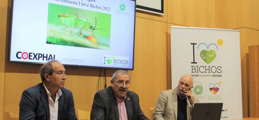 20221129_NDP-Encuesta-Ilb-ok