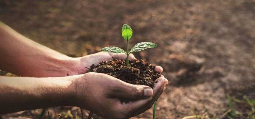 Biodiversidad