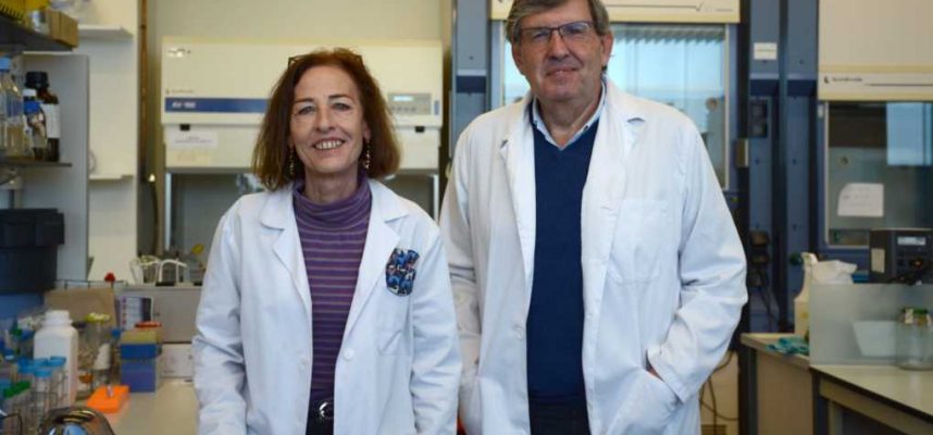 investigadores-trichoderma-ok