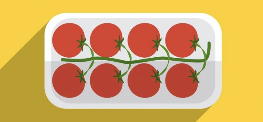 tomate-rama-ilustra