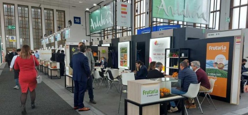 Andalucia-en-Fruit-Logistica-2022-002-e1670608014559-768x473