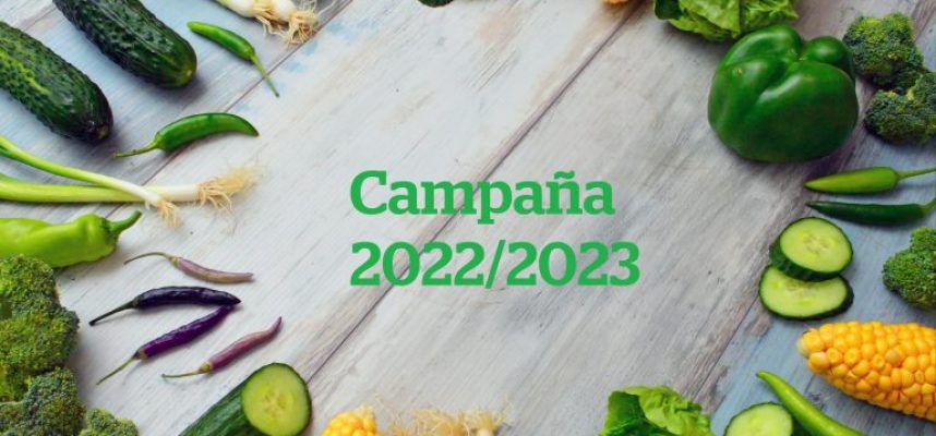 pepinos-y-berenjenas-1-768x511