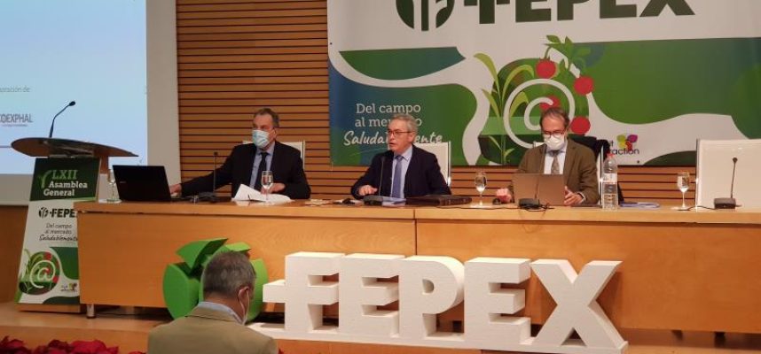 FEPEX